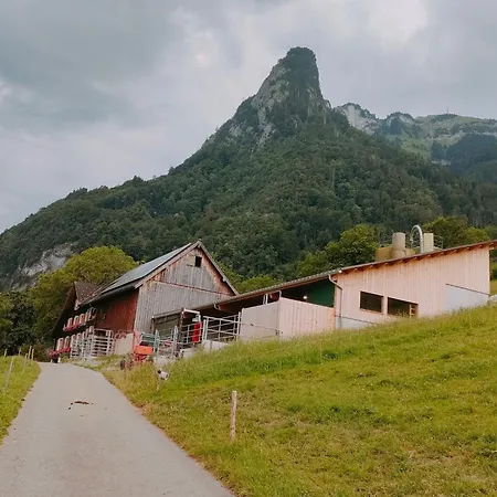 Apartment Loehli Hof By Interhome Lienz