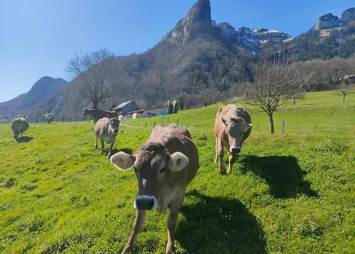 Apartment Loehli Hof By Interhome *